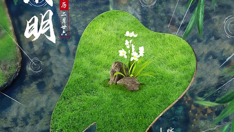 种植牙洗牙频率，你真的了解吗？**